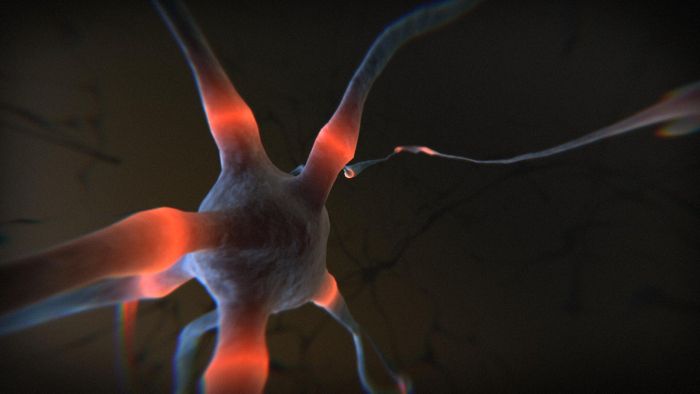 Demoscene, cortex sous-vide by excess
